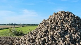 Foto de ASAJA denuncia que Azucarera está cancelando contratos de remolacha en Castilla y León