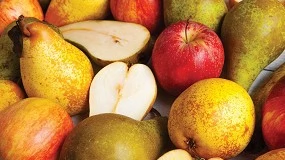 Foto de Projeto Frutotal cria preparados de fruta enriquecidos a partir de excedentes