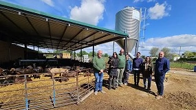 Foto de Castilla-La Mancha destaca el papel del caprino como motor del desarrollo rural