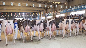 O_Rubio King Doc Barni y JBToullec Mir Roxo P, campeonas de los concursos de Fefriga y Moexmu 2026
