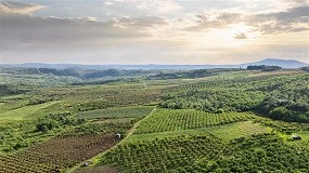 Foto de Optimizar el uso de nutrientes en un contexto energético desafiante