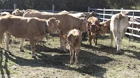 Foto de La Rioja destina 215.000 euros para compensar los costes de prevención y control de las ADSG