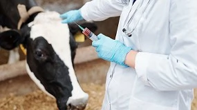 Foto de La OCV y la FVE abordan la falta de veterinarios rurales y sitúan el caso español en la agenda europea