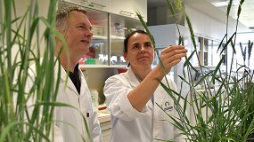 Foto de Anove celebra el paso adelante de la UE para aprobar las nuevas t�cnicas gen�micas