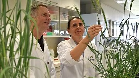 Foto de Anove celebra el paso adelante de la UE para aprobar las nuevas técnicas genómicas