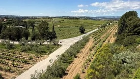 Foto de Crecen las transmisiones de fincas rústicas, bajan las compraventas