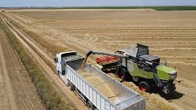 Foto de El precio de los cereales repunta influenciado por la guerra en Irán