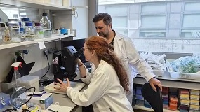 Foto de Un nuevo estudio revela cómo actúan las raíces ante la escasez de nutrientes