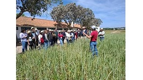 Foto de Culturas de cobertura e biodiversidade em debate em Dia Aberto dedicado ao solo