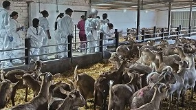 Foto de Impulso al relevo generacional con formación técnica en la raza caprina Malagueña