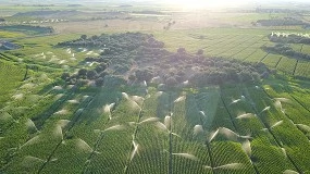 Foto de Aragón afronta la modernización del regadío tradicional como "proyecto clave" para el futuro del sector