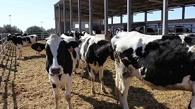 Foto de Las granjas en la Universidad cogen fuerza como recurso docente para el futuro veterinario