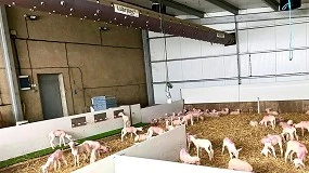 Foto de El decisivo papel (negativo) de la humedad en el bienestar ambiental de nuestras instalaciones ganaderas (II): ¿Cómo gestionarlo?