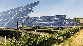 Foto de Intersolar Mexico impulsa la agrovoltaica como solución estratégica nacional