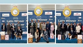 Foto de Un bulldog inglés y un basset hound se coronan como los campeones indiscutibles en las Exposiciones Internacionales Caninas de 2026