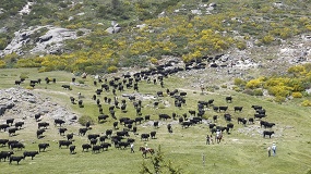 M�s de 1.000 ganader�as europeas ayudan a entender mejor el sector desde el territorio