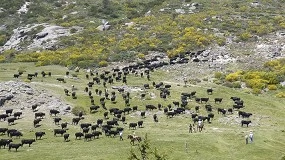 Foto de Más de 1.000 ganaderías europeas ayudan a entender mejor el sector desde el territorio