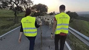 Foto de Ceva Salud Animal y la Universidad CEU Cardenal Herrera se unen para apoyar la trashumancia