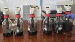 Foto de Da cantina ao biometano: projeto da Universidade de Aveiro transforma res�duos alimentares em energia