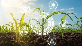 Foto de NTG y Sanidad Vegetal: cómo la edición genómica cambiará la agricultura en Europa (I)