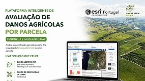 Foto de Nova plataforma avalia danos agr�colas da tempestade Kristin
