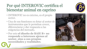Foto de El futuro del bienestar en peque�os rumiantes: hacia el modelo B+