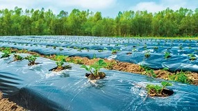 Foto de Governo lan�a estudo sobre reciclagem e valoriza��o de pl�sticos agr�colas