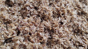 Foto de El proyecto BioSupPack valida el uso de residuos cerveceros para fabricar envases biobasados y reciclables
