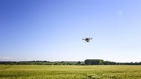 Foto de La investigación, herramienta clave en el Día Internacional de la Sanidad Vegetal