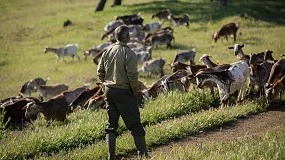 Foto de Acriflor incorpora tres nuevos sementales al centro de reproducción de Hinojosa del Duque