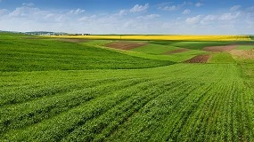 Foto de Ayudas FEGA 2025: importes definitivos para agricultura y ganadería