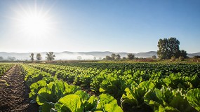 Foto de Caudal y el desaf�o del calor, claves para sostener el rendimiento agr�cola