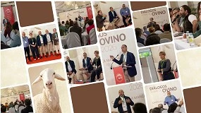 Foto de Syva celebra su primera edición de los ‘Diálogos sobre el Ovino’ en Castilla-La Mancha