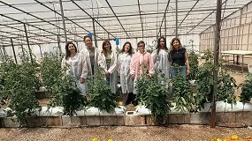 Foto de Un proyecto del CEBAS-CSIC permitirá recuperar variedades tradicionales de tomate frente al cambio climático