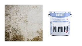 Foto de Barbot recomenda renovar fachadas na primavera para evitar danos antes do ver�o