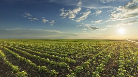 Foto de La orden de m�dulos establece reducciones en el IRPF para 800.000 agricultores y ganaderos
