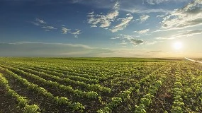 Foto de La orden de módulos establece reducciones en el IRPF para 800.000 agricultores y ganaderos