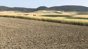 Foto de Las transmisiones de fincas rústicas crecieron un 4,3% interanual en marzo