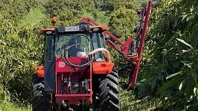 Foto de Revolución en el campo: la Poda Aragonesa se aplica al aguacate por primera vez en el mundo