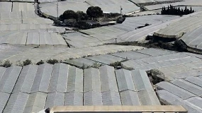 Foto de Enymax-Envasesa: cercanía, capacidad y soluciones de embalaje para un sector hortofrutícola cada vez más exigente