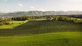 Foto de Buscador para consultar las reducciones de módulos del IRPF en agricultura y ganadería