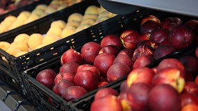 Foto de El 83% de las empresas hortofrut�colas prev� incrementar sus ventas en 2026