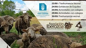 Foto de Acción de trashumancia y pastoreo preventivo en Tres Cantos con 300 ovejas de raza Merina