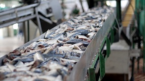 Foto de La industria de pescados, mariscos y conservas acelera su modernizaci�n y refuerza su perfil exportador
