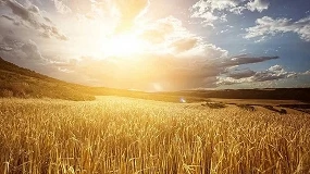 Foto de UE suspende tarifas sobre fertilizantes por um ano
