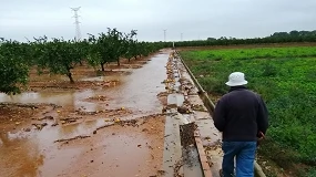 Foto de La superficie de cultivo siniestrada crece un 82% hasta abril
