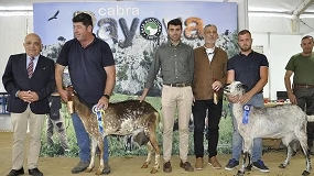 Foto de La Cabra Payoya celebra con un gran éxito su XI Concurso Morfológico Nacional