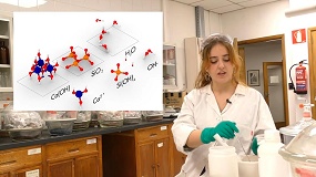 Foto de El CSIC premia v�deos divulgativos en la s�ptima edici�n de �Yo investigo. Yo soy CSIC�