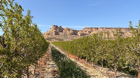Foto de Demoalmendro 2026 será el punto de encuentro del sector el próximo 2 de junio en Huesca