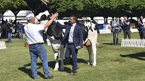 Foto de El espa�ol Pol Collell Sabat� juzga el Concurso Nacional de Hungr�a de raza Holstein